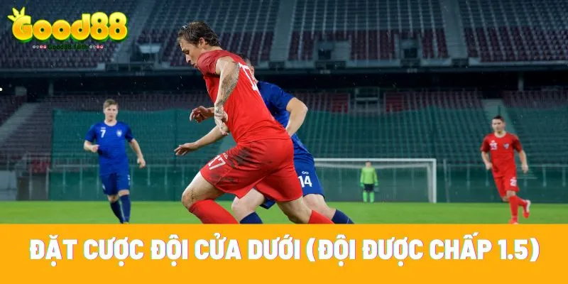 Kèo chấp 1.5 là gì? Hướng dẫn mẹo dành chiến thắng dễ dàng 7 Đặt cược vào đội cửa dưới mang lại lợi thế lớn hơn